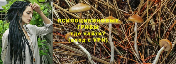 кокаин колумбия Алексин